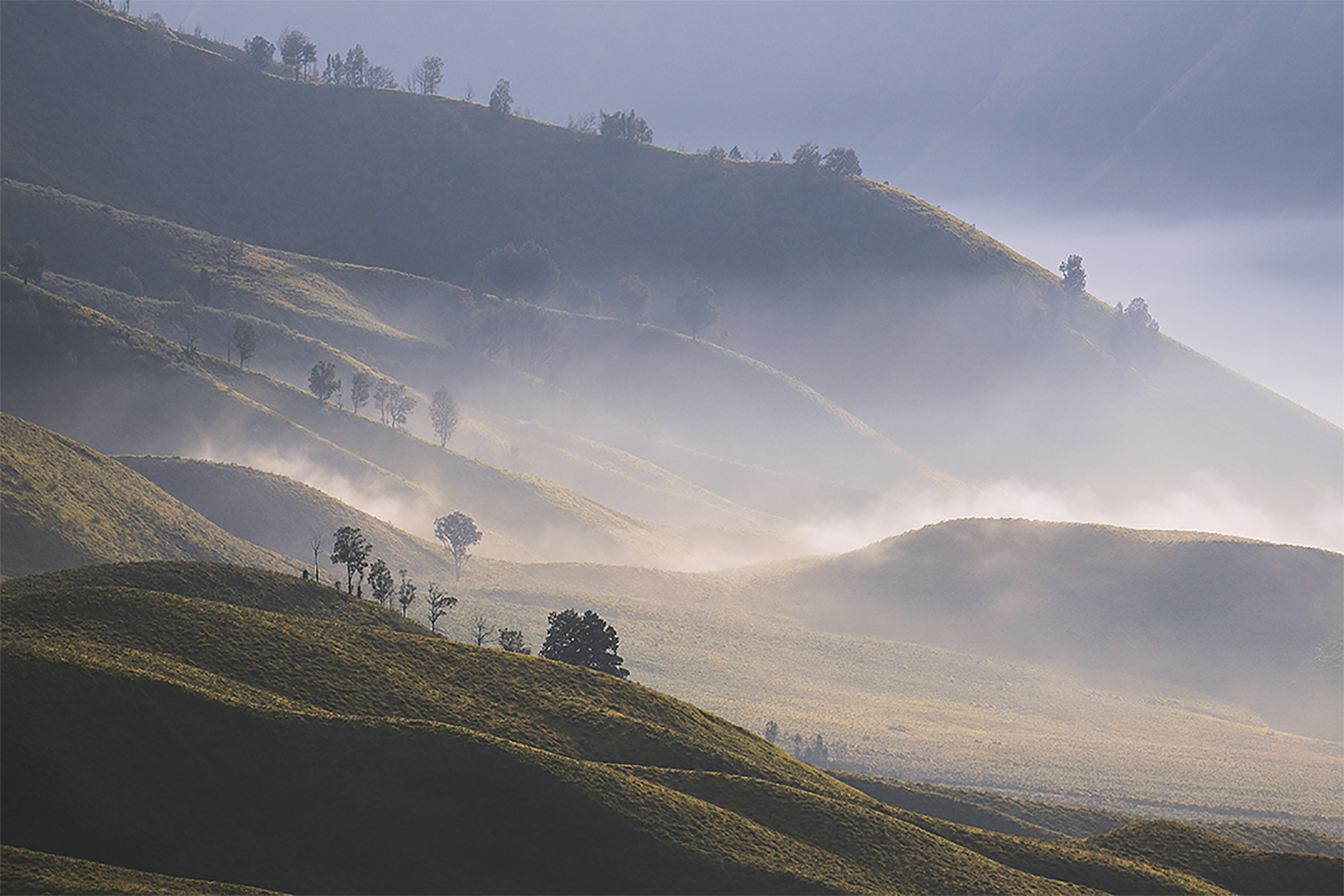 Foto konteks sabana Bromo di kawasan Taman Nasional Bromo Tengger Semeru