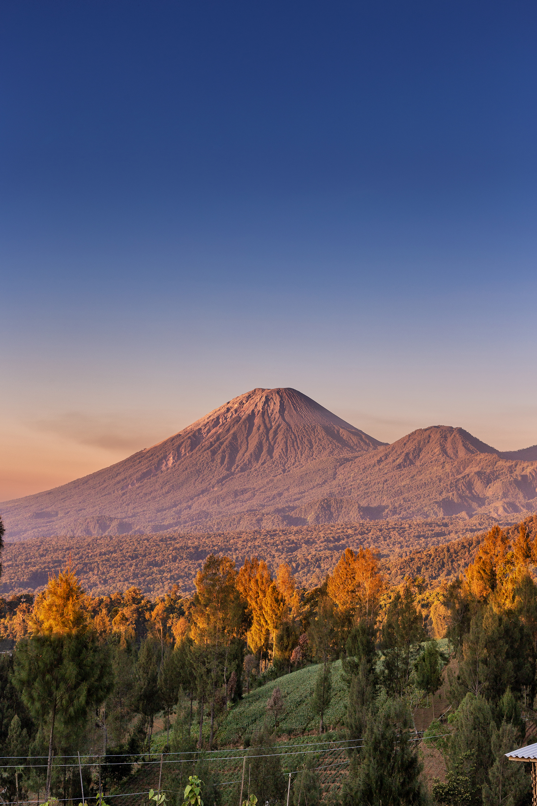 Pemandangan Gunung Semeru di Jawa Timur sebagai foto konteks aktivitas vulkanik dan status Siaga