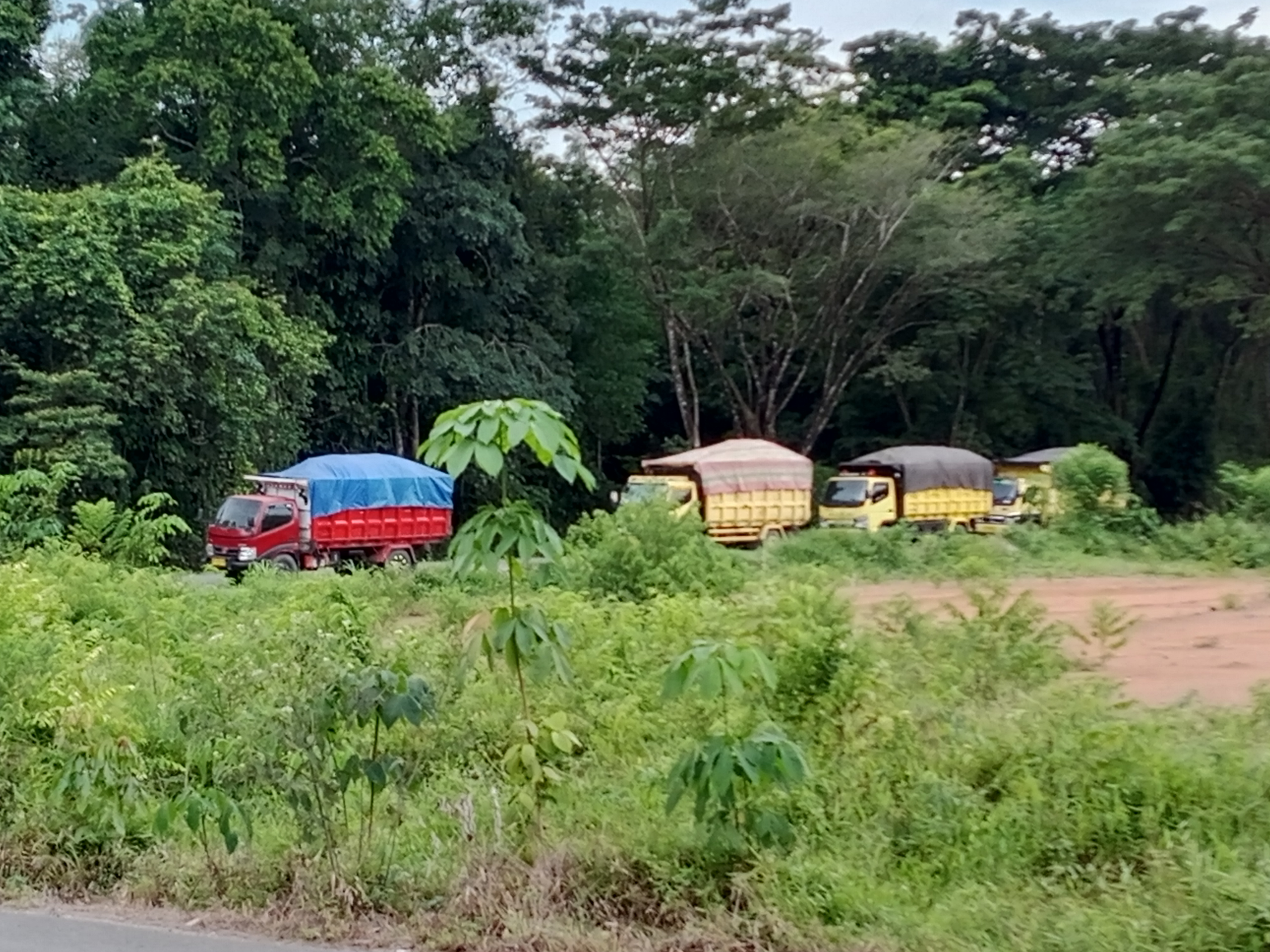 Sejumlah truk sebagai foto konteks angkutan barang dan logistik di Indonesia