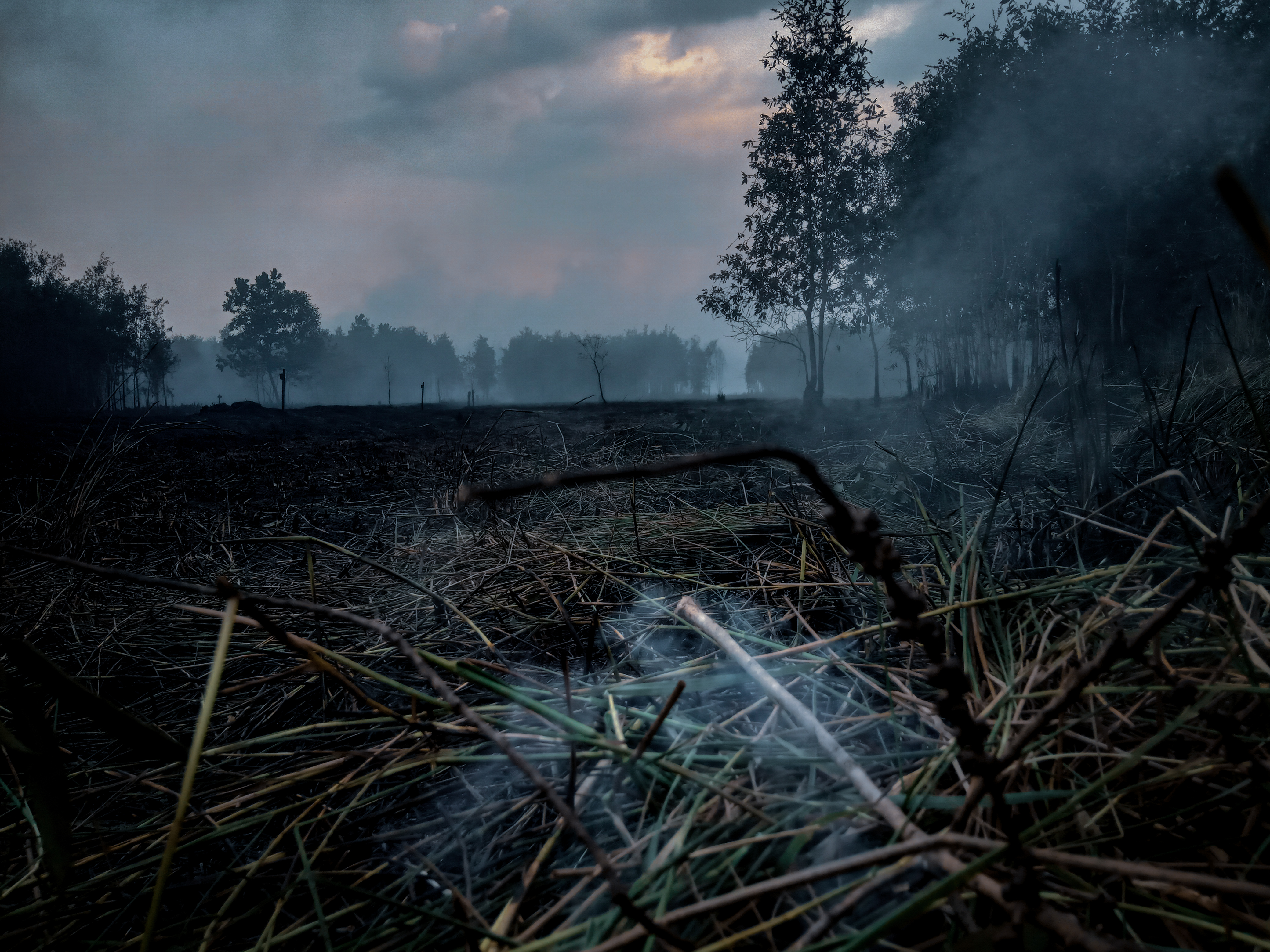 Kebakaran hutan gambut di Borneo Indonesia sebagai foto konteks tata kelola karhutla