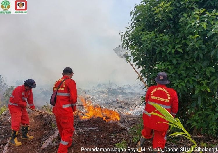 Petugas Manggala Agni memadamkan kebakaran hutan dan lahan di Sumatera
