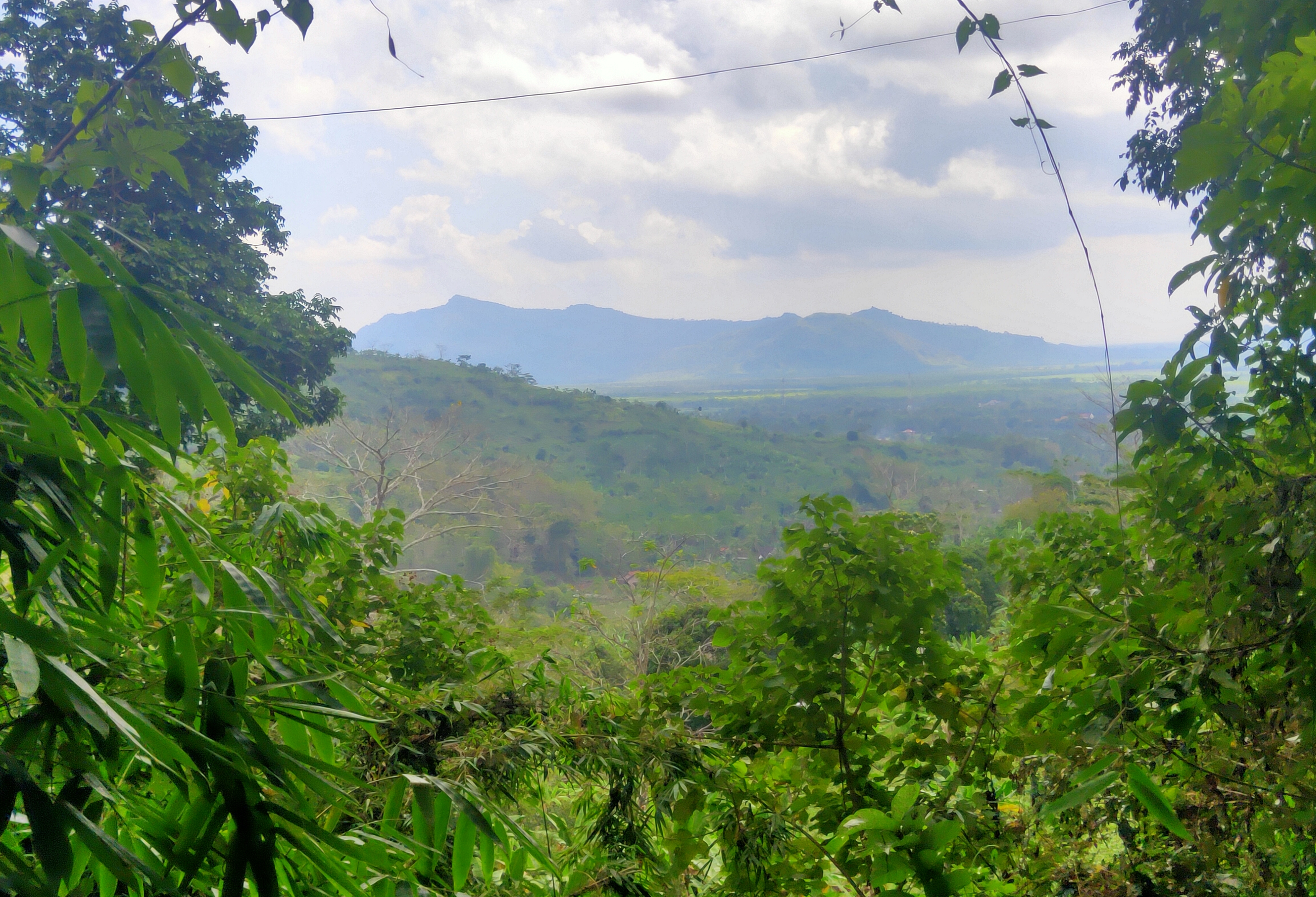 Lanskap pegunungan Taman Nasional Meru Betiri di Kabupaten Jember, Jawa Timur