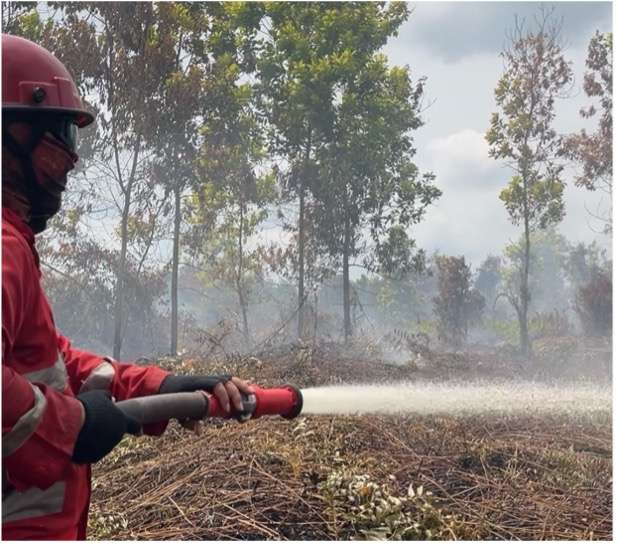 Petugas Manggala Agni menangani kebakaran hutan dan lahan di Kalimantan Barat